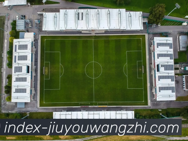九游网址平台生态图
